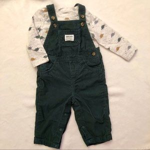 🦕 Dino Expert Overalls
